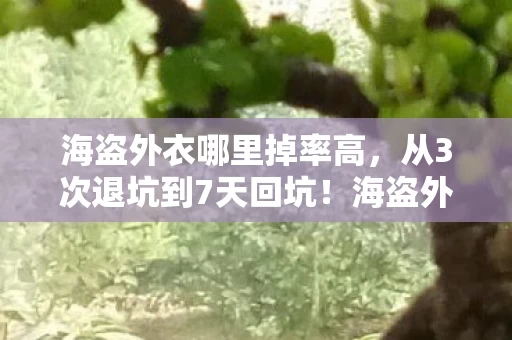 海盗外衣哪里掉率高,从3次退坑到7天回坑!海盗外衣下藏着多少玩家戒不掉的瘾? 海盗外衣哪里掉率高,从3次退坑到7天回坑!海盗外衣下藏着多少玩家戒不掉的瘾?