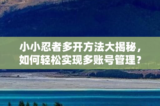 小小忍者多开方法大揭秘图片