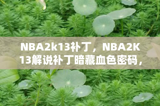 NBA2k13补丁，NBA2K13解说补丁暗藏血色密码，十年困局竟是自我献祭的悬案？
