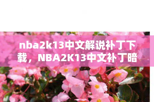 nba2k13中文解说补丁下载,NBA2K13中文补丁暗藏血色密码,当虚拟杀戮成为真实悬案的毛骨悚然倒计时 nba2k13中文解说补丁下载,NBA2K13中文补丁暗藏血色密码,当虚拟杀戮成为真实悬案的毛骨悚然倒计时