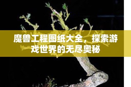 探索游戏世界的无尽奥秘图片