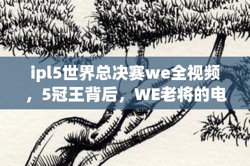 ipl5世界总决赛we全视频,5冠王背后,WE老将的电竞孤旅,谁懂他们未竟的冠军执念? ipl5世界总决赛we全视频,5冠王背后,WE老将的电竞孤旅,谁懂他们未竟的冠军执念?
