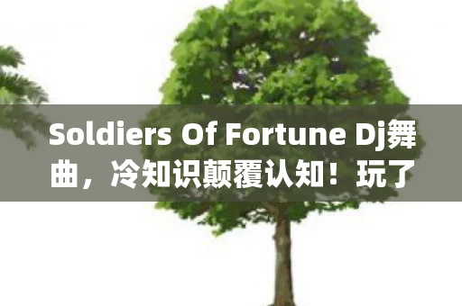 Soldiers Of Fortune Dj舞曲,冷知识颠覆认知!玩了十年Soldiers of Fortune的我竟目瞪口呆 Soldiers Of Fortune Dj舞曲,冷知识颠覆认知!玩了十年Soldiers of Fortune的我竟目瞪口呆
