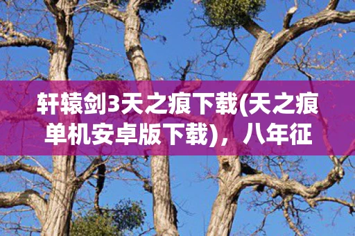 轩辕剑3天之痕下载(天之痕单机安卓版下载)，八年征途成幻梦，谜面终揭泪目空——轩辕剑3天之痕下载已成往事