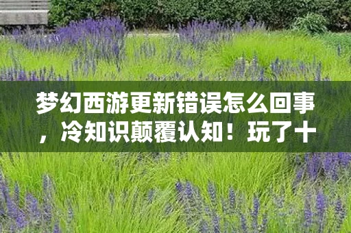 梦幻西游更新错误怎么回事,冷知识颠覆认知!玩了十年梦幻西游,更新错误竟让我目瞪口呆 梦幻西游更新错误怎么回事,冷知识颠覆认知!玩了十年梦幻西游,更新错误竟让我目瞪口呆