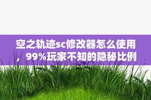 空之轨迹sc修改器怎么使用，99%玩家不知的隐秘比例，当修改器揭开游戏世界的扎心真相