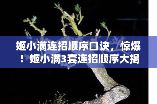 姬小满连招顺序口诀，惊爆！姬小满3套连招顺序大揭秘，胜率飙升的秘密竟在此？