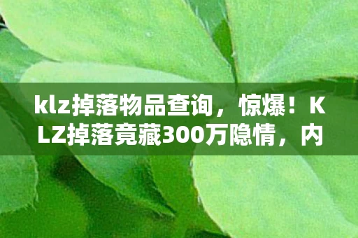 klz掉落物品查询,惊爆!KLZ掉落竟藏300万隐情,内部争吵细节曝光,吓一跳! klz掉落物品查询,惊爆!KLZ掉落竟藏300万隐情,内部争吵细节曝光,吓一跳!