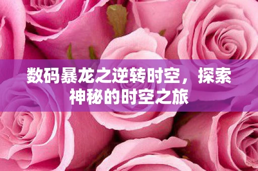 数码暴龙之逆转时空图片