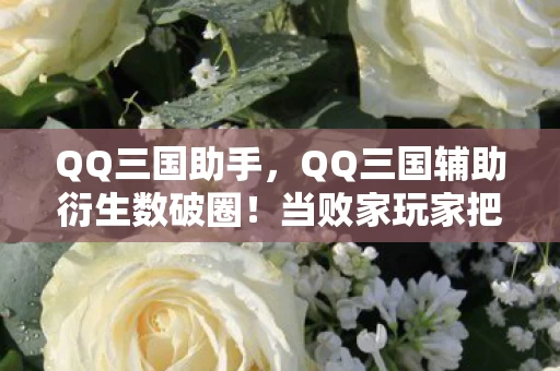 QQ三国助手,QQ三国辅助衍生数破圈!当败家玩家把游戏周边堆成遗物展 QQ三国助手,QQ三国辅助衍生数破圈!当败家玩家把游戏周边堆成遗物展