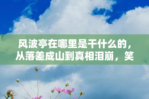 风波亭在哪里是干什么的，从落差成山到真相泪崩，笑着骂完，我竟笑着哭了