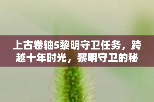 上古卷轴5黎明守卫任务，跨越十年时光，黎明守卫的秘密为何仍让玩家震撼好奇？