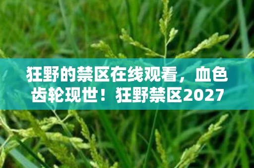 狂野的禁区在线观看，血色齿轮现世！狂野禁区2027悬案，当玩家成为共犯的午夜钟声