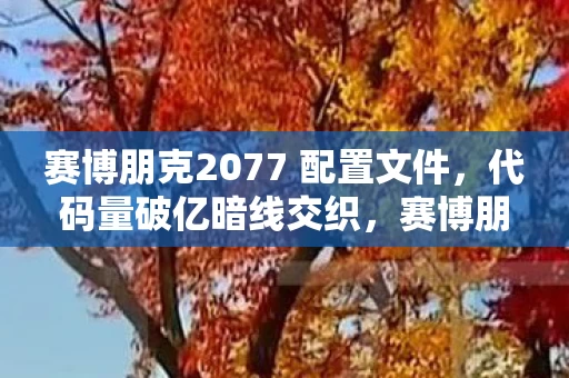 赛博朋克2077 配置文件,代码量破亿暗线交织,赛博朋克2077指挥官的头皮发麻人生 赛博朋克2077 配置文件,代码量破亿暗线交织,赛博朋克2077指挥官的头皮发麻人生