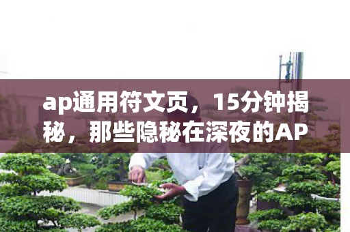 ap通用符文页,15分钟揭秘,那些隐秘在深夜的AP符文,哽咽着说再见 ap通用符文页,15分钟揭秘,那些隐秘在深夜的AP符文,哽咽着说再见