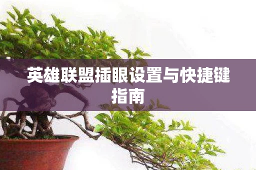 英雄联盟插眼设置与快捷键指南图片