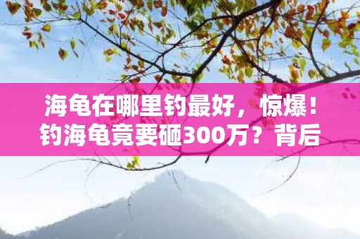 海龟在哪里钓最好,惊爆!钓海龟竟要砸300万?背后隐情曝光,真相让人吓一跳! 海龟在哪里钓最好,惊爆!钓海龟竟要砸300万?背后隐情曝光,真相让人吓一跳!