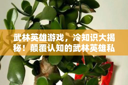 武林英雄游戏,冷知识大揭秘!颠覆认知的武林英雄私服,真相让你目瞪口呆! 武林英雄游戏,冷知识大揭秘!颠覆认知的武林英雄私服,真相让你目瞪口呆!