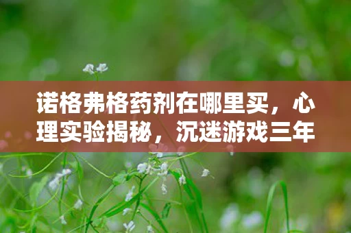 诺格弗格药剂在哪里买，心理实验揭秘，沉迷游戏三年，诺格弗格药剂背后细思极恐的真相