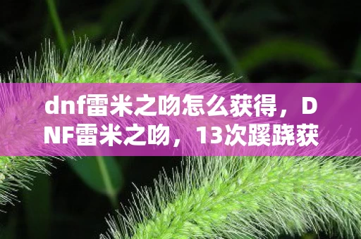 dnf雷米之吻怎么获得，DNF雷米之吻，13次蹊跷获取后，我后背发凉地看清了真相