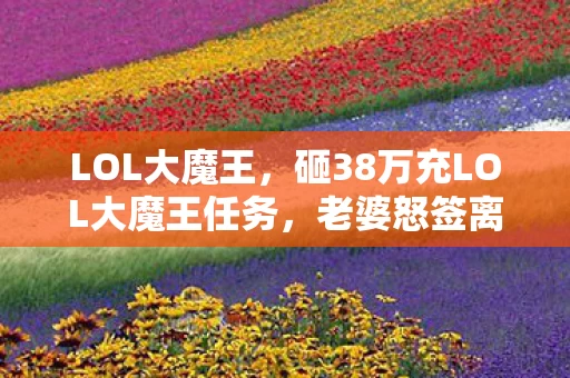 LOL大魔王,砸38万充LOL大魔王任务,老婆怒签离婚协议,这隐情让人吓一跳! LOL大魔王,砸38万充LOL大魔王任务,老婆怒签离婚协议,这隐情让人吓一跳!