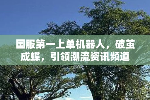 国服第一上单机器人图片