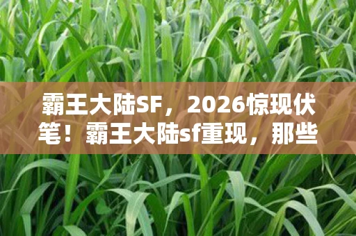 霸王大陆SF，2026惊现伏笔！霸王大陆sf重现，那些年谁替你扛BOSS，鼻子一酸