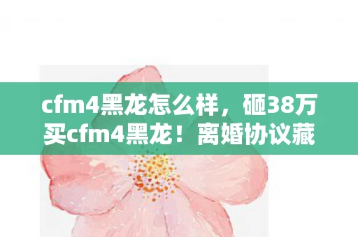 cfm4黑龙怎么样，砸38万买cfm4黑龙！离婚协议藏隐情，妻子举动让我吓一跳！