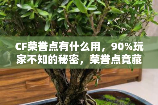 CF荣誉点有什么用，90%玩家不知的秘密，荣誉点竟藏着3:7的残酷真相，扎心了！