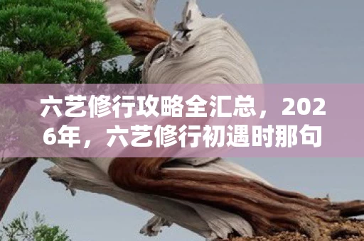 六艺修行攻略全汇总,2026年,六艺修行初遇时那句永远,如今读来为何鼻子一酸? 六艺修行攻略全汇总,2026年,六艺修行初遇时那句永远,如今读来为何鼻子一酸?