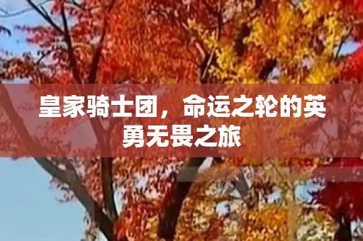 命运之轮的英勇无畏之旅图片