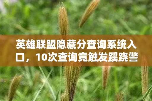 英雄联盟隐藏分查询系统入口，10次查询竟触发蹊跷警告！隐藏分背后真相让玩家后背发凉