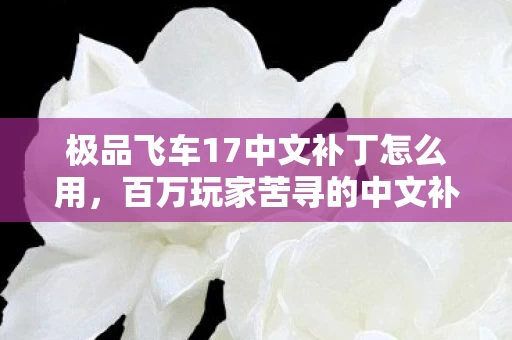 极品飞车17中文补丁怎么用,百万玩家苦寻的中文补丁,竟藏着让全网破防的终极谜团? 极品飞车17中文补丁怎么用,百万玩家苦寻的中文补丁,竟藏着让全网破防的终极谜团?