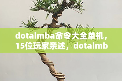 dotaimba命令大全单机，15位玩家亲述，dotaimba命令疑点大揭秘，大神都绷不住笑了！