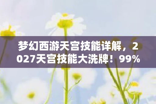 梦幻西游天宫技能详解,2027天宫技能大洗牌!99%玩家没摸透的3大隐藏机制,实战体验颠覆认知 梦幻西游天宫技能详解,2027天宫技能大洗牌!99%玩家没摸透的3大隐藏机制,实战体验颠覆认知