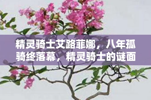 精灵骑士艾路菲娜,八年孤骑终落幕,精灵骑士的谜面,为何泪目却无泪? 精灵骑士艾路菲娜,八年孤骑终落幕,精灵骑士的谜面,为何泪目却无泪?