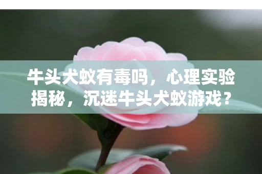 牛头犬蚁有毒吗，心理实验揭秘，沉迷牛头犬蚁游戏？多巴胺陷阱细思极恐！