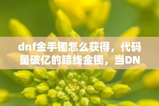 dnf金手镯怎么获得,代码量破亿的暗线金镯,当DNF机制成为我的生存法则,头皮发麻的觉醒 dnf金手镯怎么获得,代码量破亿的暗线金镯,当DNF机制成为我的生存法则,头皮发麻的觉醒