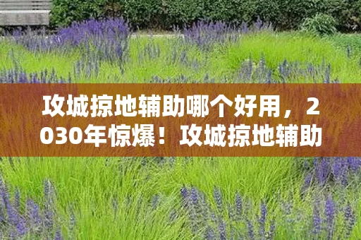 攻城掠地辅助哪个好用，2030年惊爆！攻城掠地辅助十年进化，竟藏着这般震撼真相？