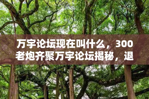 万宇论坛现在叫什么，300老炮齐聚万宇论坛揭秘，退坑潮疑点重重，这真相谁能绷得住？