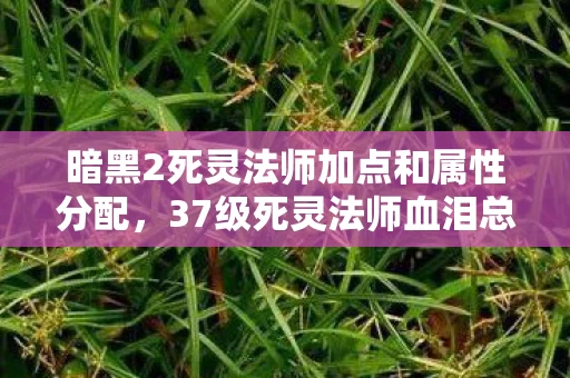 暗黑2死灵法师加点和属性分配,37级死灵法师血泪总结,这3个技能点错,地狱难度直接删号重练?! 暗黑2死灵法师加点和属性分配,37级死灵法师血泪总结,这3个技能点错,地狱难度直接删号重练?!