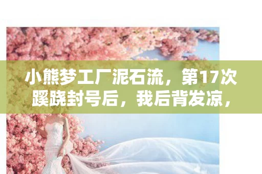 小熊梦工厂泥石流,第17次蹊跷封号后,我后背发凉,小熊梦工厂的温柔刀,刀刀要命 小熊梦工厂泥石流,第17次蹊跷封号后,我后背发凉,小熊梦工厂的温柔刀,刀刀要命