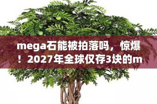 mega石能被拍落吗,惊爆!2027年全球仅存3块的mega石,背后竟藏着惊天秘密? mega石能被拍落吗,惊爆!2027年全球仅存3块的mega石,背后竟藏着惊天秘密?