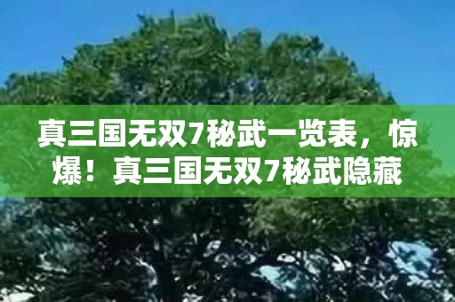 真三国无双7秘武一览表,惊爆!真三国无双7秘武隐藏数值大揭秘,99%玩家不知的爆率暗改! 真三国无双7秘武一览表,惊爆!真三国无双7秘武隐藏数值大揭秘,99%玩家不知的爆率暗改!