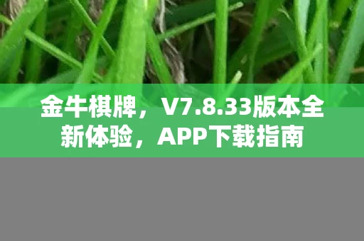 33版本全新体验图片