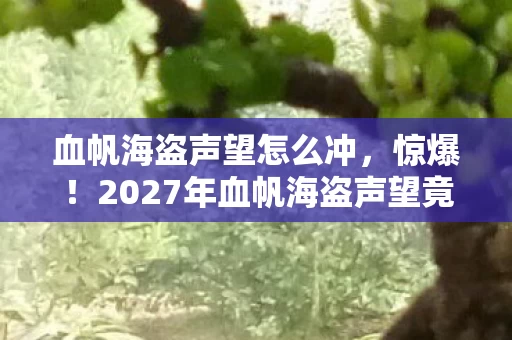血帆海盗声望怎么冲，惊爆！2027年血帆海盗声望竟藏着99%玩家不知的致命陷阱！