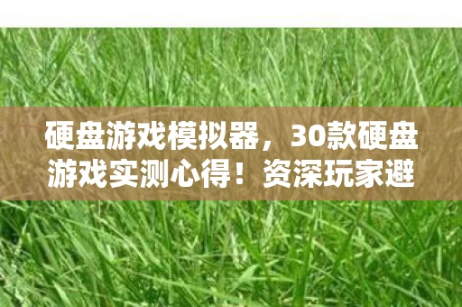硬盘游戏模拟器,30款硬盘游戏实测心得!资深玩家避坑指南大公开 硬盘游戏模拟器,30款硬盘游戏实测心得!资深玩家避坑指南大公开