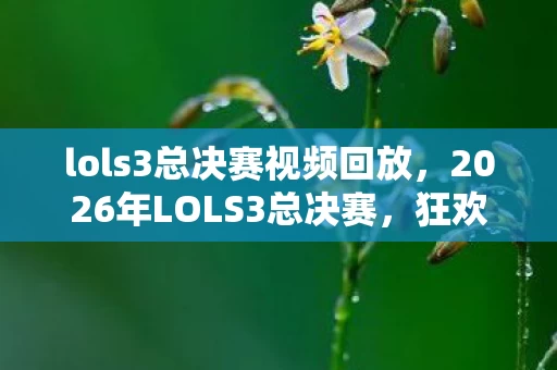 lols3总决赛视频回放，2026年LOLS3总决赛，狂欢背后，谁将捧起那座梦寐以求的奖杯？