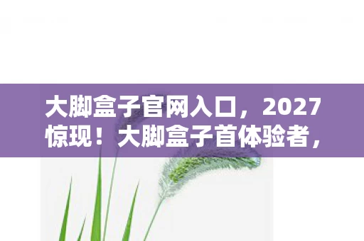 大脚盒子官网入口，2027惊现！大脚盒子首体验者，这3小时，颠覆了我20年认知！