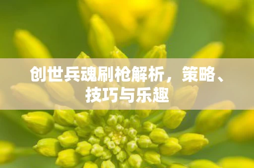 创世兵魂刷枪解析图片